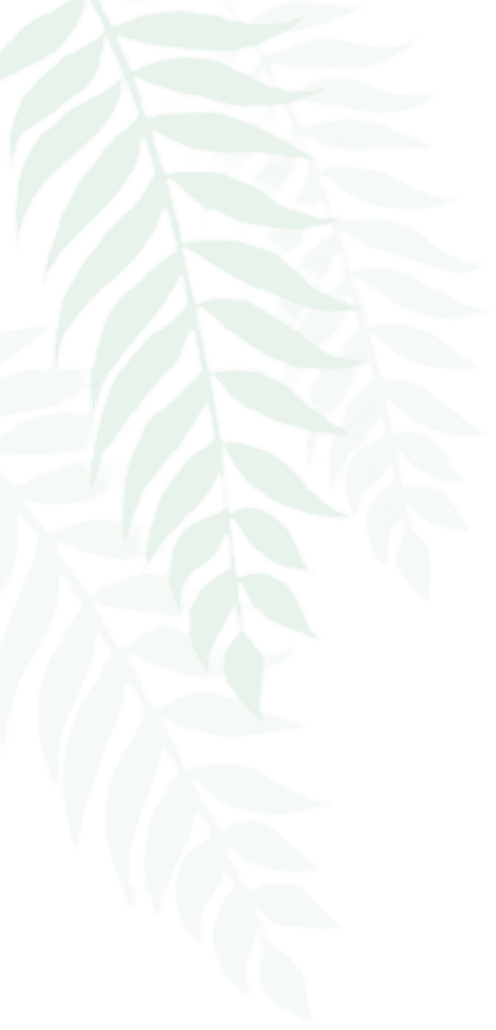 Botanical shadow